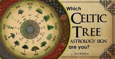 the celtic tree astrology sign are you?