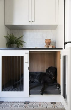 a black dog laying on top of a bed in a kitchen next to white cabinets