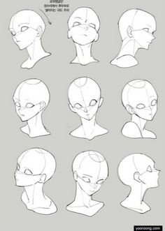 an animation character's head with various angles and facial features, including the head