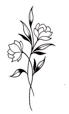 a drawing of some flowers on a white wall with black lines in the middle and bottom