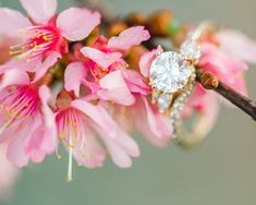 a diamond ring sitting on top of a pink flower next to a branch with leaves