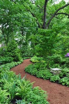 a garden filled with lots of green trees and plants next to a dirt path surrounded by greenery