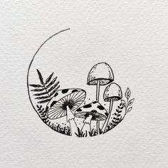 an ink drawing of mushrooms and ferns in a circle with the moon above it on white paper