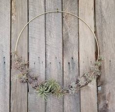 a circular wreath with air plants hanging from it on a wooden fence background, surrounded by wood planks