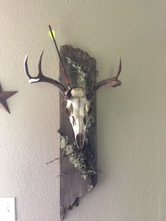 a deer skull mounted to the wall with antlers on it's back end