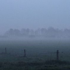 a foggy field with trees in the distance and a fenced in area behind it