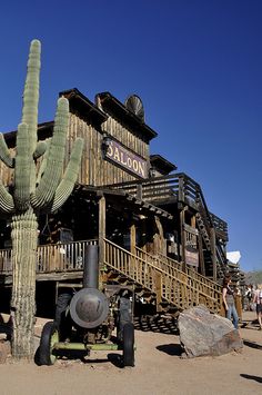 a large cactus sitting next to a tall wooden building