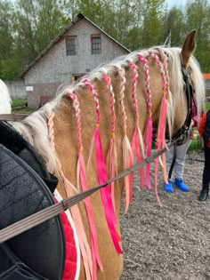 a horse with braids tied to it's bridle in front of a house