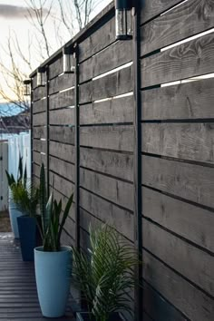 some plants are sitting next to a wooden fence