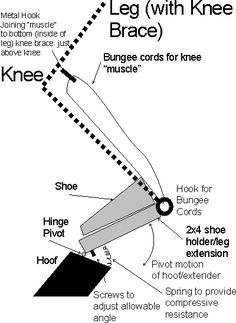 the diagram shows how to use knee braces