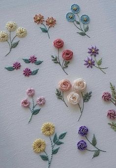 several different types of flowers on a white surface