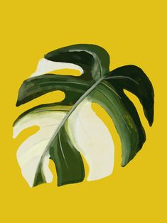 a green and white leaf on a yellow background