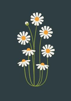 white daisies with yellow centers on a dark blue background poster print wall art decor