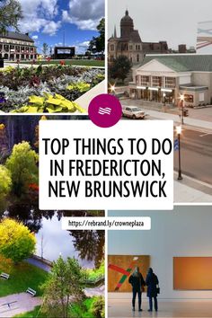 the top things to do in new brunswick, canada