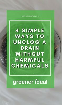 Check out these 4 effective ways you can unclog your drains while using no harsh chemicals. Unclog A Drain, Ionized Water, Baking Soda And Vinegar, Clean Carpet, Unclog Drain, Earth Green, Party Place, Delicious Snacks