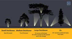 an info sheet showing the different types of trees and their lighting sources for each type of tree