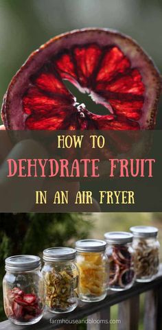 how to dehydraate fruit in an air fryer with text overlay