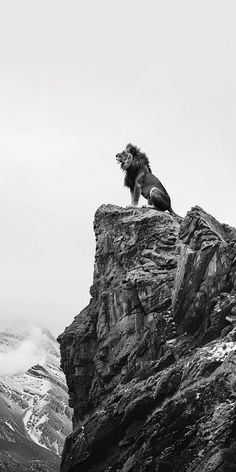 a black and white photo of a dog sitting on top of a rock formation with mountains in the background