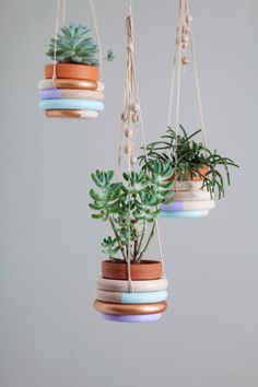 three hanging planters with plants in them