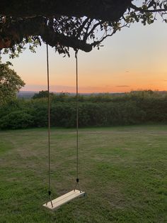 a swing that is sitting in the grass