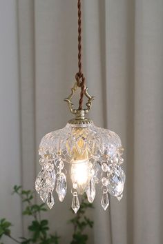 a chandelier hanging from a rope with crystal drops on it and a potted plant in the background