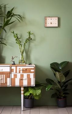 two potted plants sitting on top of a wooden table next to a green wall