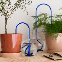 three potted plants are sitting on a table next to a notepad and pen