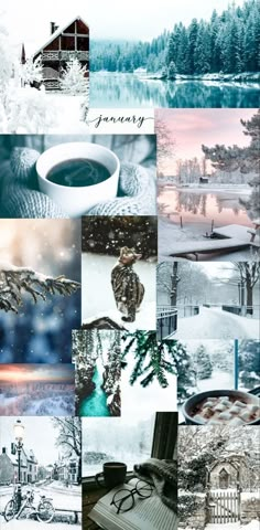 a collage of different pictures with trees and houses in the background, including snow