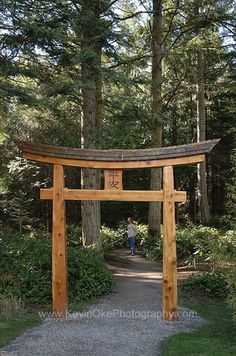 a person standing under a wooden arch in the middle of a forest with lots of trees