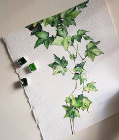 watercolor painting of green leaves on white paper