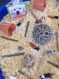 a blue tray filled with lots of toys and other items on top of sand covered ground