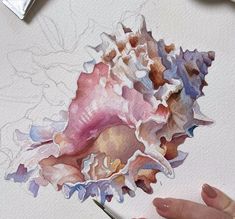 a watercolor painting of a seashell on white paper with colored pencils next to it