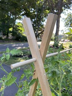 two wooden sticks sticking out of the ground in front of some green plants and trees