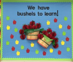 a bulletin board with strawberries and apples on it that says we have bushels to learn