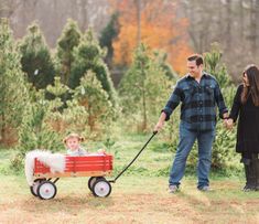 Christmas Tree Farm Pictures, Tree Farm Pictures, Tree Farm Photo Shoot, Diy Christmas Pictures, Christmas Tree Farm Photos, Surviving Christmas, Family Tree Photo, Xmas Photos, Family Christmas Pictures