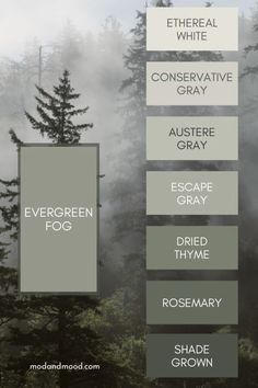 the different types of trees are shown in this graphic