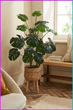 a potted plant sitting on top of a wooden table