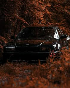 a black car parked in the middle of some tall grass and trees with red leaves on it