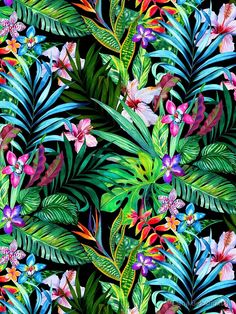 a painting of tropical plants and flowers on a black background