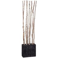 a tall black vase filled with lots of white birch tree branches on top of a wooden stand