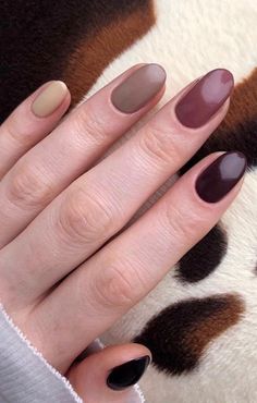 90+ Fall Nails To Try This Autumn - Blush & Pearls Brown Fall Manicure, Gradient Fall Nails, Fall Nails Orange Brown, Autumn Brown Nails 2022, Fall Nails Orange Brown Ombre, Brown Nails Fall 2024, Natural Gel Nails, Fall Nail Art Designs, Fall Gel Nails