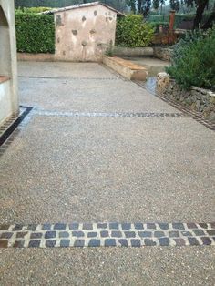 a dog is standing in the middle of a driveway with cobblestones on it