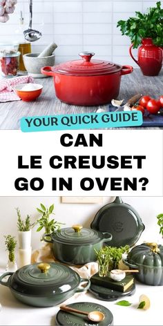 the words can le creuset go in oven?