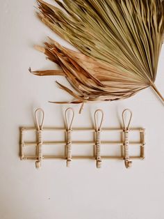 four hooks are hanging on the wall next to some dried grass and a palm leaf