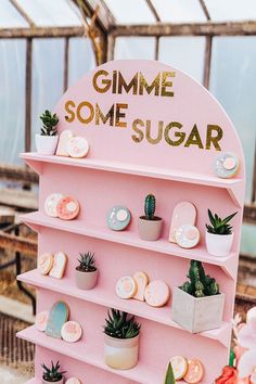 a pink shelf with some succulents and plants on it that says gimme some sugar