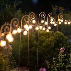 there are many lights that are on the poles in the garden, and one is lit up