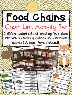 the food chains link activity set includes four different types of food, including meat and vegetables