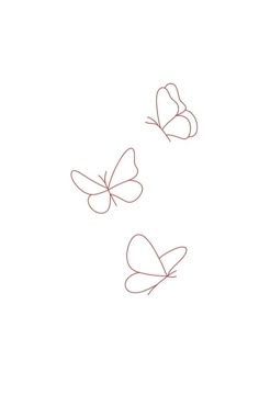 two butterflies flying in the air on a white background with red lines drawn by hand