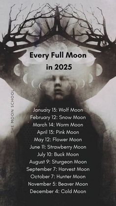 Full Moon Things To Do, January Witchcraft, Wolf Moon Ritual, New Moon Witchcraft, Witchcraft Calendar, December Cold Moon, Full Moon Witchcraft, February Snow Moon, January Wolf Moon