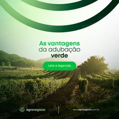 an advertisement for a vineyard in the countryside